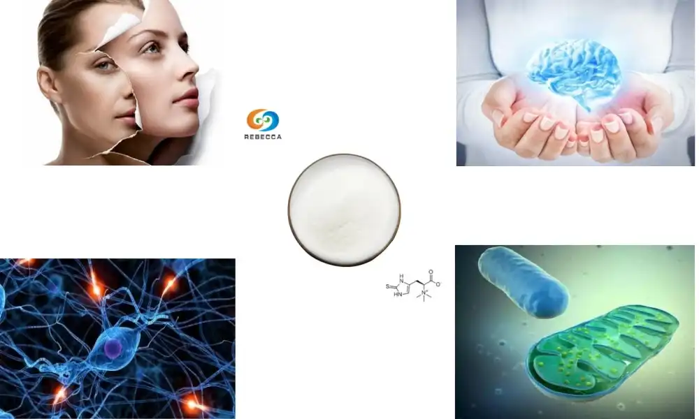 Is ergothioneine more powerful than glutathione?